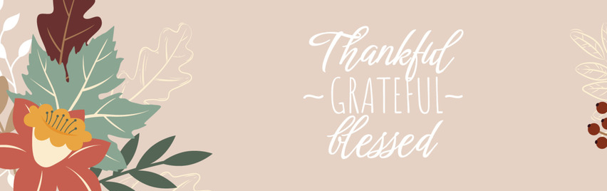 Shop Thanksgiving (USA)