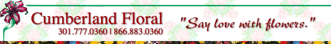Cumberland Floral Florist Banner in Cumberland, MD