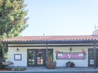 Store Front