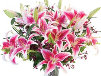 Bouquet of colorful pink lilies 