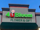 Store Front
