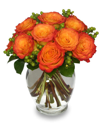 Red Roses Arrangement | | Flower Shop Network