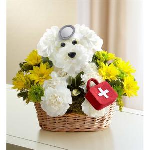 1-800-Flowers® Doggie Howser M.D.™ Get Well