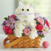  Fabulous Feline Cat Basket