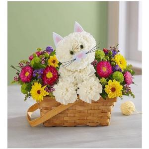 1-800-Flowers® Fabulous Feline™ Cat Basket