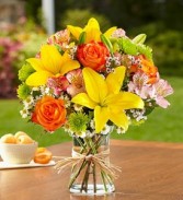 Fields Of Europe by 1-800 Flowers ®