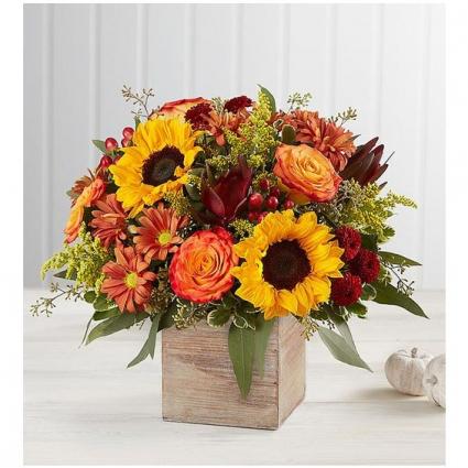 1-800-Flowers® Harvest Glow Bouquet™