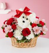1-800-Flowers® Love Pup™ Dog Basket