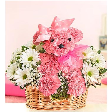 1-800-Flowers Princess Paws™