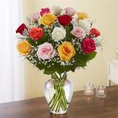 1-800-Flowers® Rose Elegance™ Premium Long Stem As 