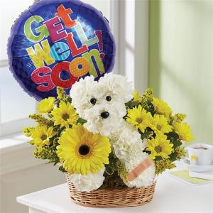 1-800-Flowers® Sick As A Dog™ Get Well Dog Basket