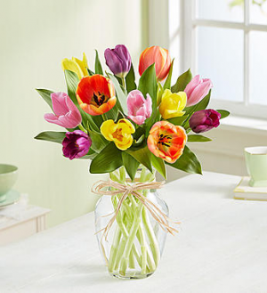 1-800-Flowers Timeless Tulips® in Valley City, OH | HILL HAVEN FLORIST & GREENHOUSE 1-800-Flowers Timeless Tulips® in Valley City, OH | HILL HAVEN FLORIST & GREENHOUSE
