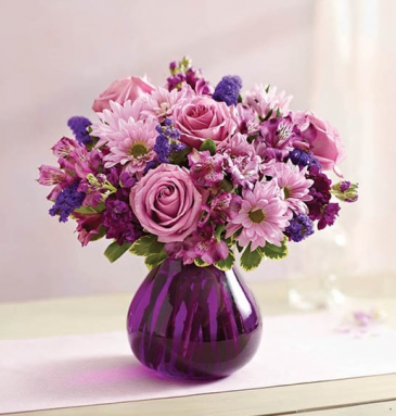 Lavender Hope