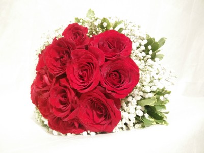 1 Doz of Red Roses with ARIA signature wrapping **FREE BOX OF CHOCOLATE**
