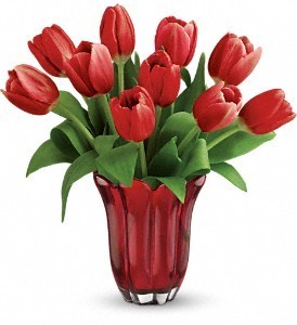 1 Doz Red Tulips Tulips