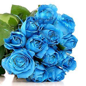 1 Dozen Blue Roses with baby breath in a Vase **PRE-ORDER 3- 5 DAYS ADVANCE** in Vancouver, BC | ARIA FLORIST 1 Dozen Blue Roses with baby breath in a Vase **PRE-ORDER 3- 5 DAYS ADVANCE** in Vancouver, BC | ARIA FLORIST