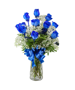 1 DOZEN BLUE ROSES roses