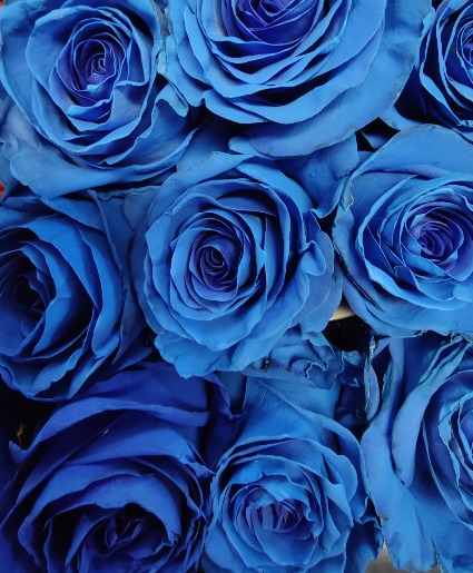 1 Dozen Blue roses vased  gold canyon 