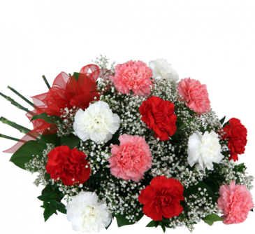 1 dozen carnations wrapped