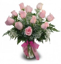 1 Dozen Classic Pink Roses