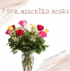 1 Dozen Mixed Roses 