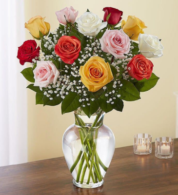 1 Dozen Multicolor Roses Vase Arrangement in Mcdonough, GA | Parade of Flowers