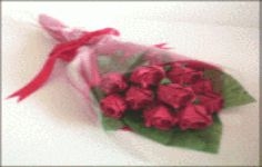 One Dozen of Roses  Any color