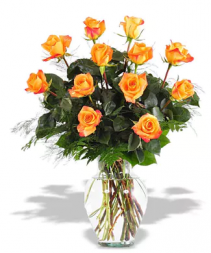1 dozen Orange Roses  Fresh Floral Arrangement