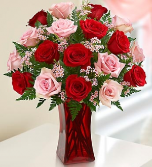 1 or 2 dozen Red and Pink Roses 