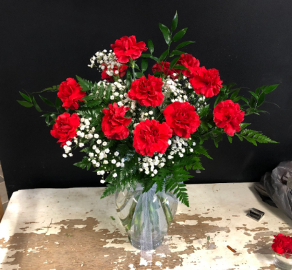 1 Dozen Red carnations Carnations