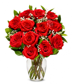 Category Image
