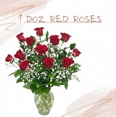 1 Dozen Red Roses 