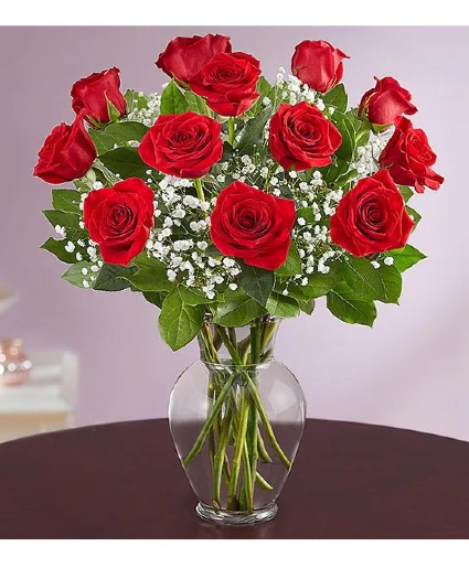 1 Dozen Red Roses Arranged with Babies Breath 