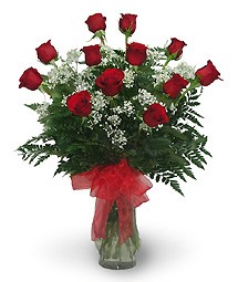 1 Dozen RED Roses  Arranged in a Vase
