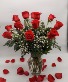 1 Dozen Red Roses, Medium Stem Rose Arrangement