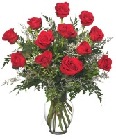 1 Dozen Red Roses Vase Arrangement