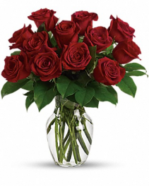 1 Dozen Red Roses Vased Red Roses