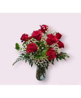 1 Dozen Red Roses with Baby's breath  Roses