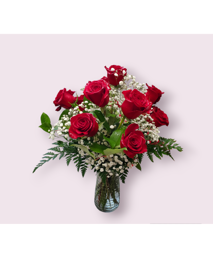 1 Dozen Red Roses with Baby's breath  Roses