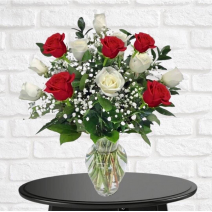 1 Dozen Red & White Roses