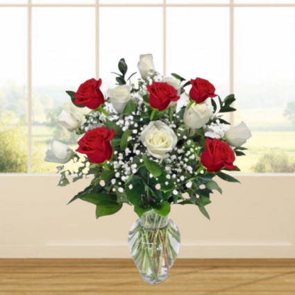 1 Dozen Red & White Roses