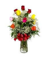 1 Dozen Roses Mixed Fresh Arrangement