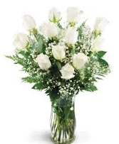 1 DOZEN WHITE ROSES VASED