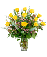 1 DOZEN YELLOW ROSES 