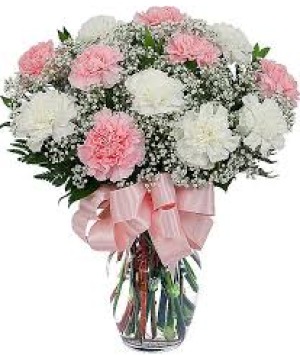 1 DZ PINK AND WHITE CARNATION VASE ARRANGEMENT 