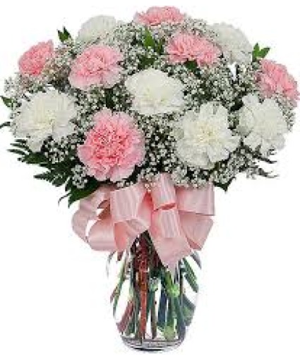 1 DZ PINK AND WHITE CARNATION VASE ARRANGEMENT