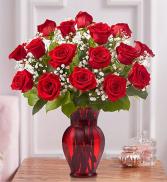 One Dozen Long Stem Red Roses  Arranged in Vase 