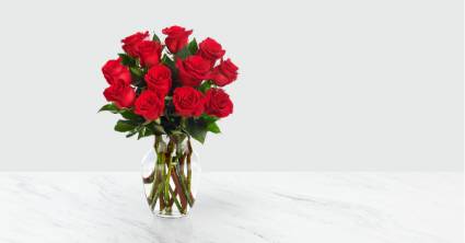 1 DZ RED ROSES RED ROSES