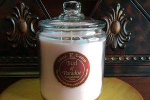 #1 Seller our super cookie jar "CIRCLE E CANDLE"!! You can't go wrong with this choice!!! Everyone LOVES these candles!! in Magnolia, TX | ANTIQUE ROSE FLORIST #1 Seller our super cookie jar "CIRCLE E CANDLE"!! You can't go wrong with this choice!!! Everyone LOVES these candles!! in Magnolia, TX | ANTIQUE ROSE FLORIST