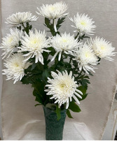 10 Blue or White Spider Mums Father's Day